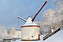 Moselkran im Winter Vorschau
