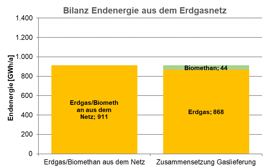 Anteile Erdgas und Biomethan an der Endenergie.
