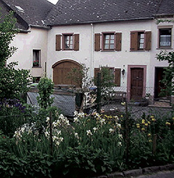 Malerischer Bauerngarten im alten Dorf